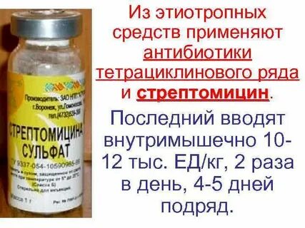 Тетрациклиновый ряд антибиотиков