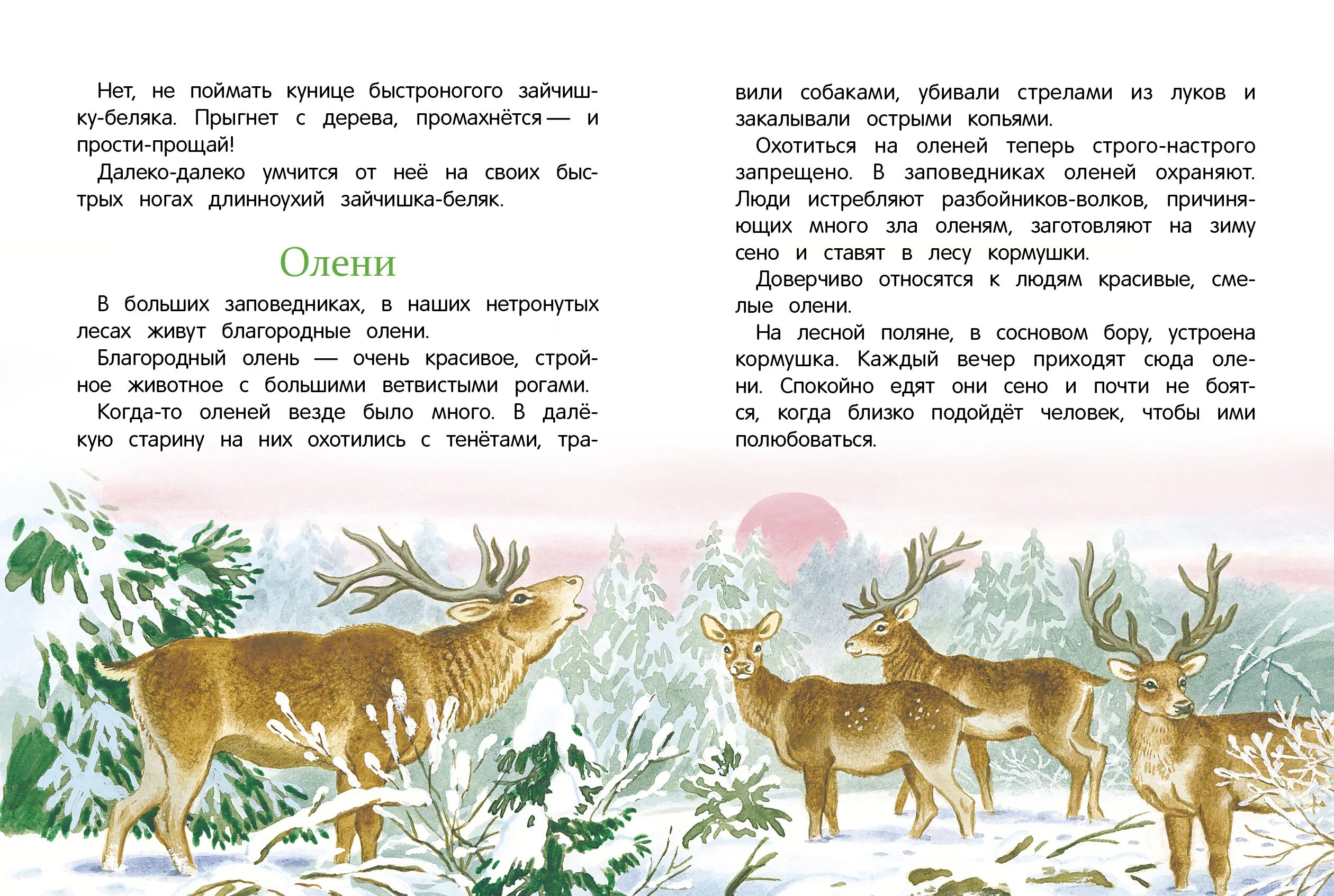 Рассказ новый родственник. Соколов-Микитов рассказы о природе. Сказки о природе Соколова-Микитова. Рассказы о природе Соколова Микитова.