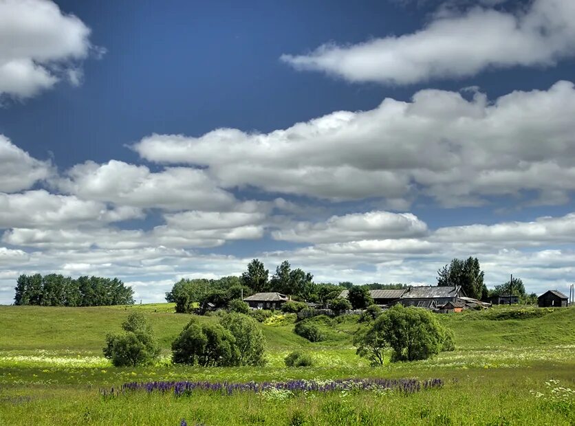 Село просторе. Природа деревня. Деревня летом. Природа в деревне летом. Просторы деревни.