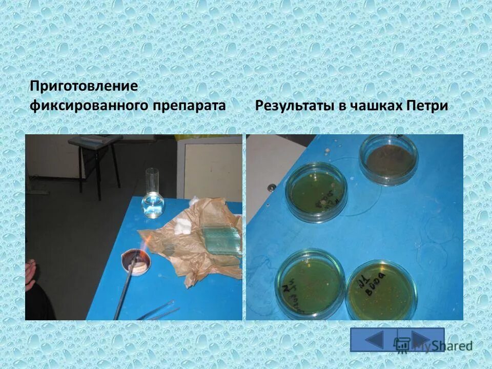 В пробе воды обнаружены. Приготовление фиксированного препарата. Микробиологическое исследование проб воды. Забор материала для микробиологических исследований воды. Отбор воды на микробиологию.