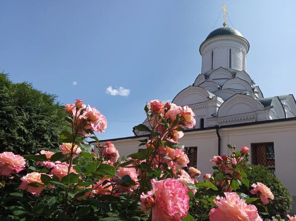царство небесное , небесный иерусалим. божия обитель. христианство церковь. царства небесное рай врата. преображение господне.