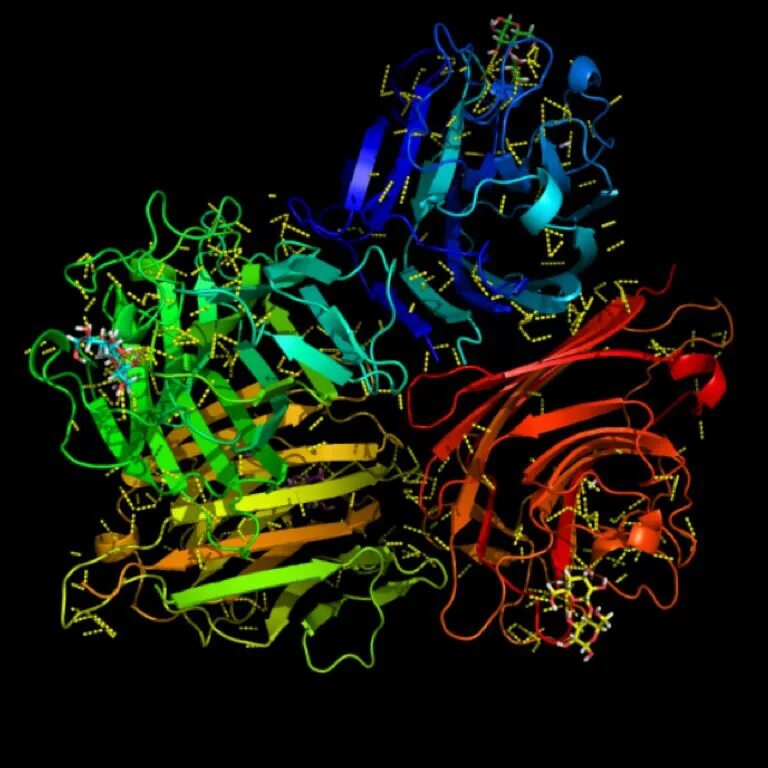 Pymol
