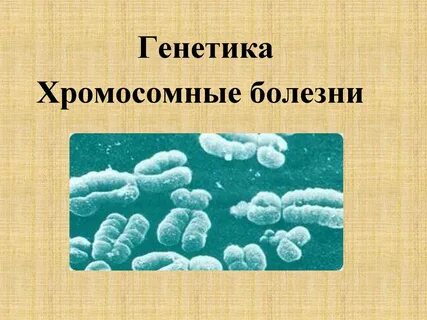 Хромосомные болезни человека
