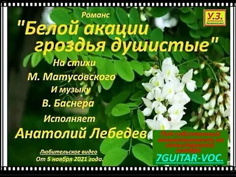 Слушать романс белой акации гроздья. Романс белой акации гроздья душистые. Романс белой акации. Романс белой акации гроздья. Белой акации гроздья душистые стихи.