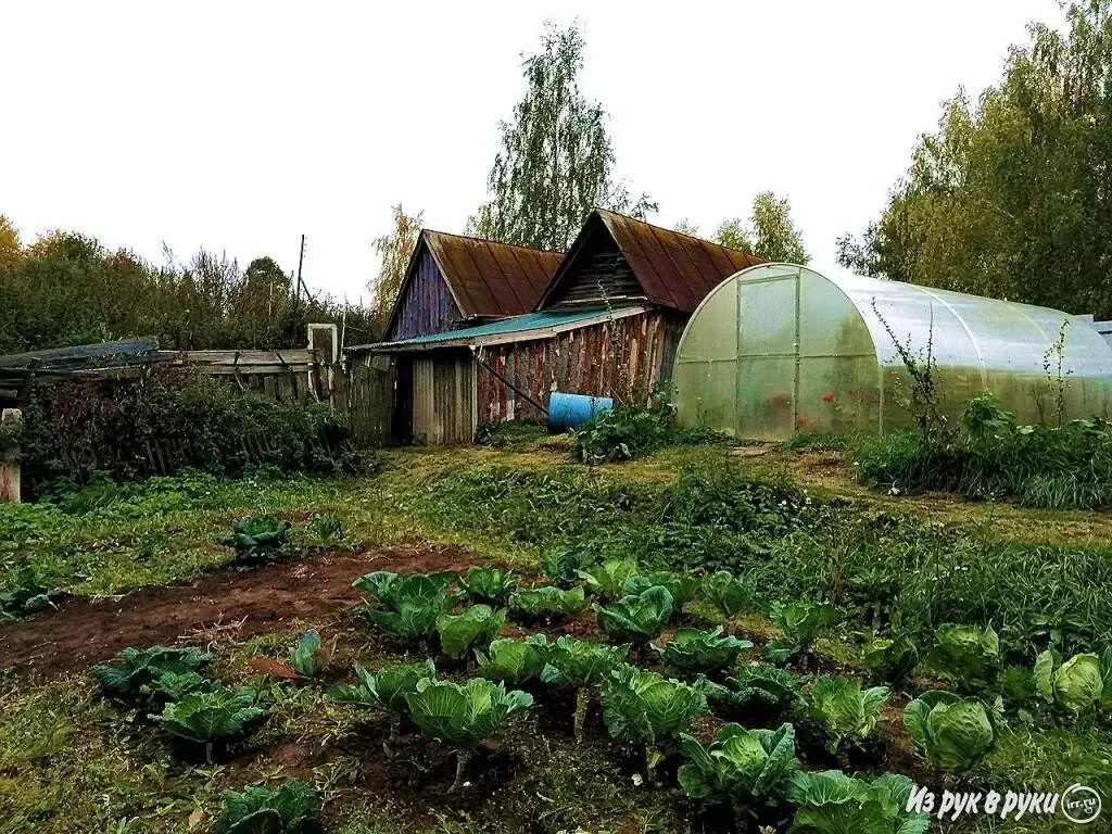 Село ярымово нижегородская область. Ярымово нижегородская область. Ярымово озеро платное. Деревня молявино. Погода ярымово.