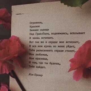 Сколько красивых стихов