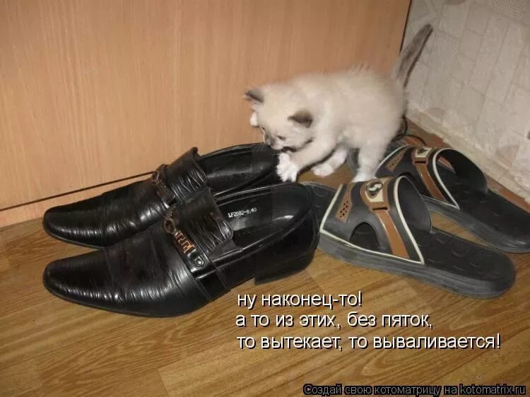 Ботинки приколы. Прикольная обувь. Смешная обувь. Смешные туфли. Обувь прикол.