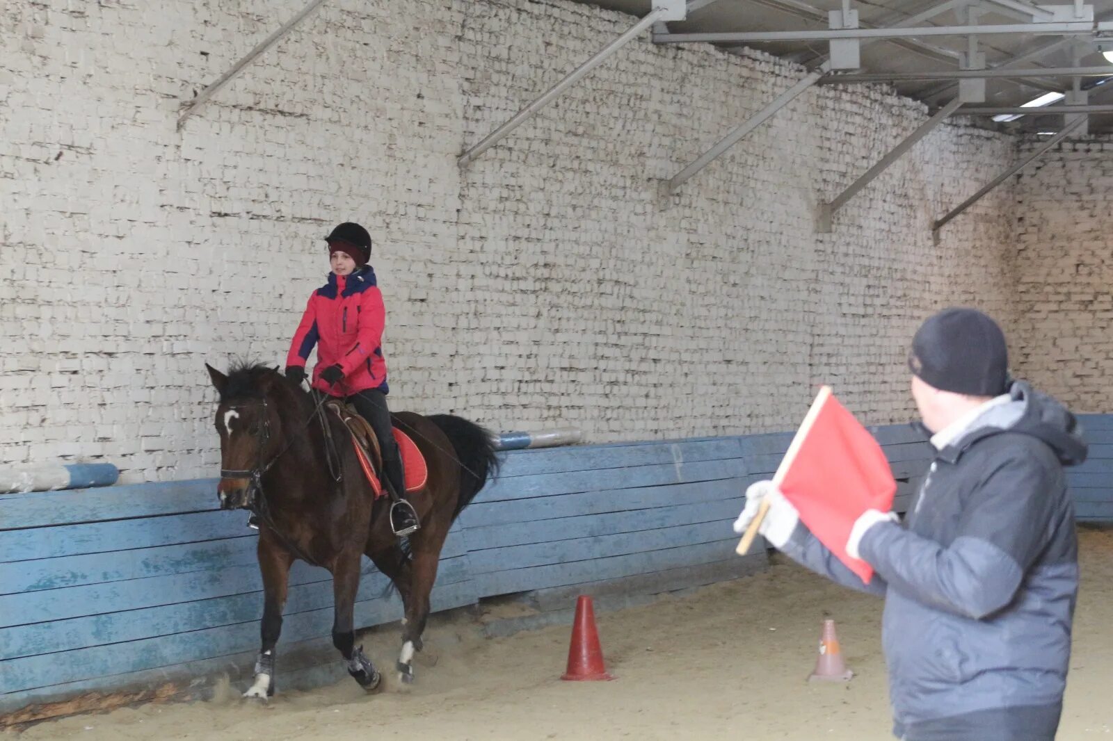 Чемпионат по конному спорту в финляндии 2023. Чемпионат по конному спорту в финляндии 2023. Чемпионат по конному спорту в финляндии 2023. Спортивные лошади. Чемпионат по конному спорту в финляндии 2023.