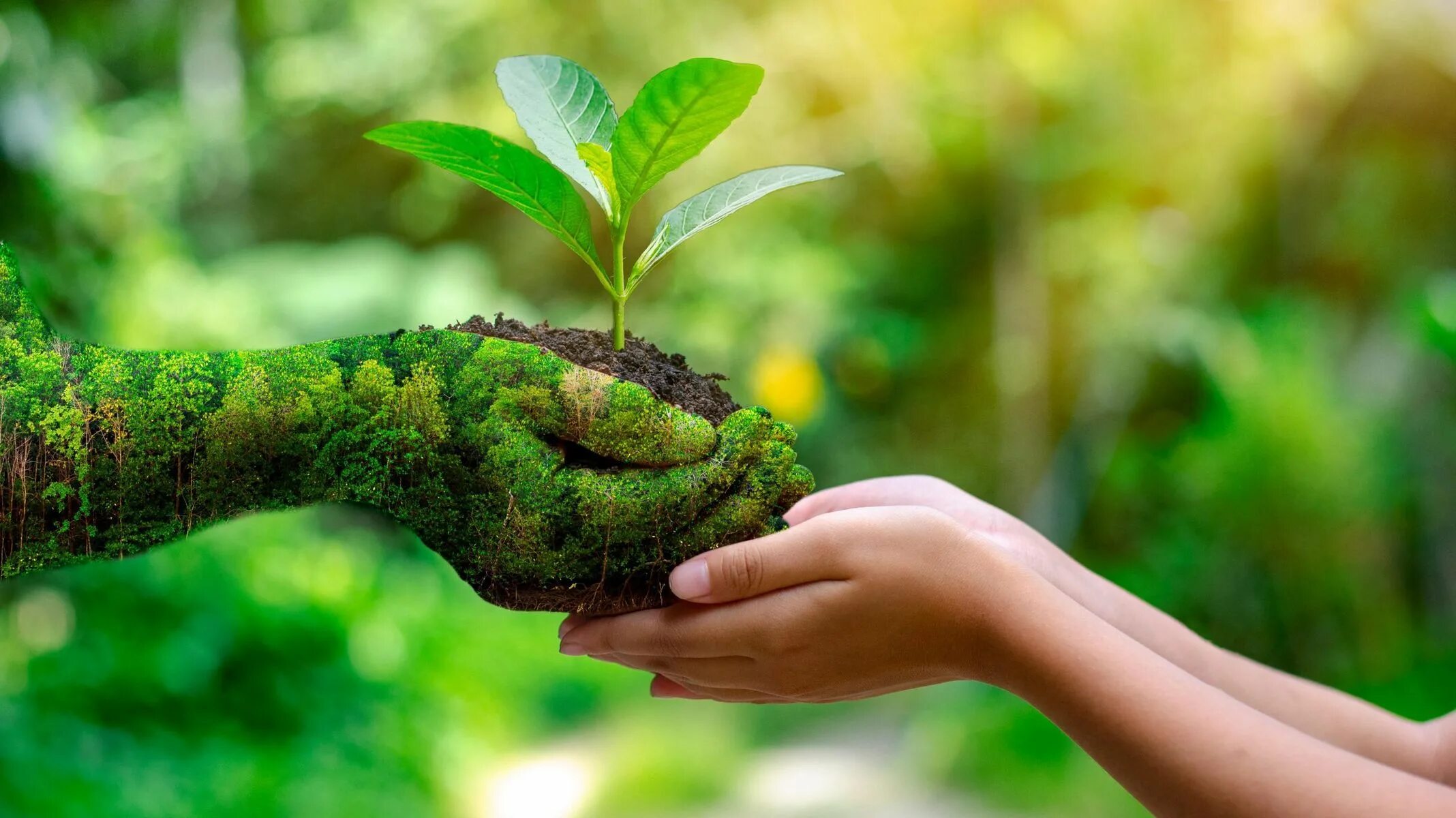 All people are response for the environment