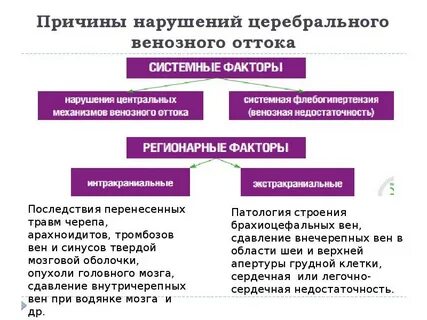 Как улучшить венозный отток головного
