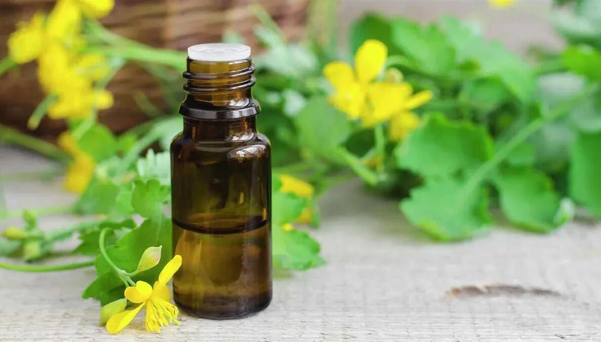 Облепиха с розмарином настойка. Календула цитронгельб. Польза настойки. Настойка облепиха sea buckthorn. Облепиха хикул.