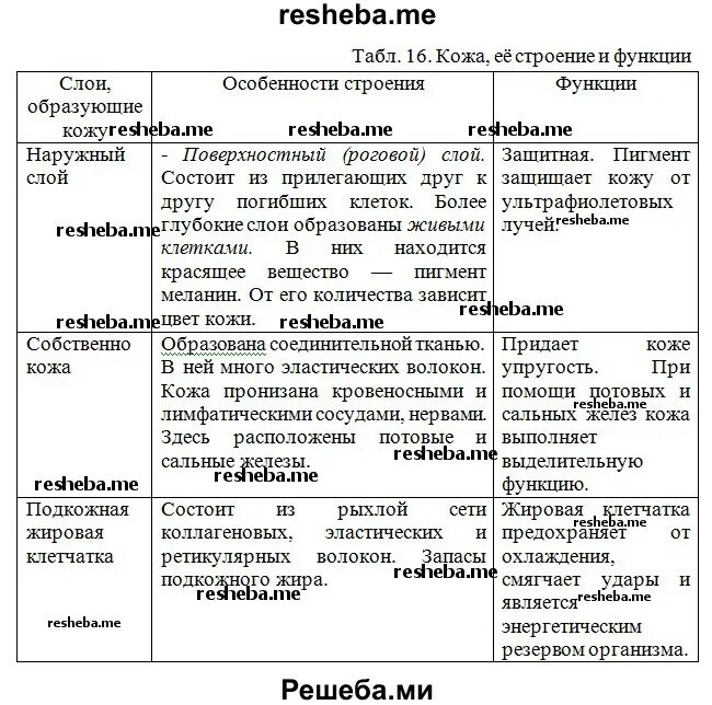 Железы кожи таблица строение и функции. Строение кожи и ее функции таблица. Строение кожи таблица. Таблица кожа 8 класс биология.