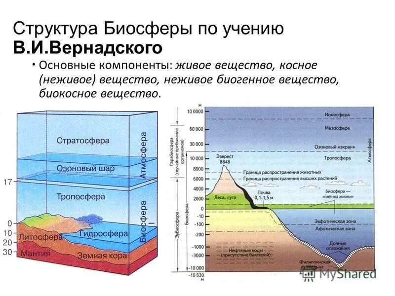 Структура биосферы Вернадский. Структура и границы биосферы. Структура биосферы живое вещество. Биосфера состав и строение.