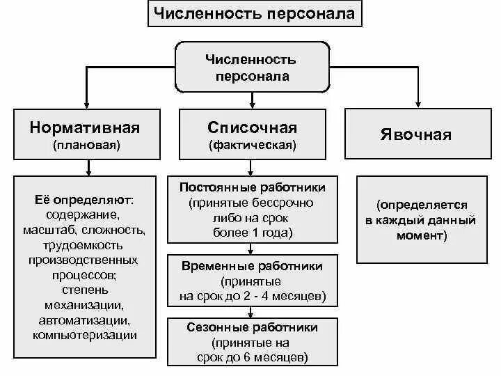 Численность кадров предприятия