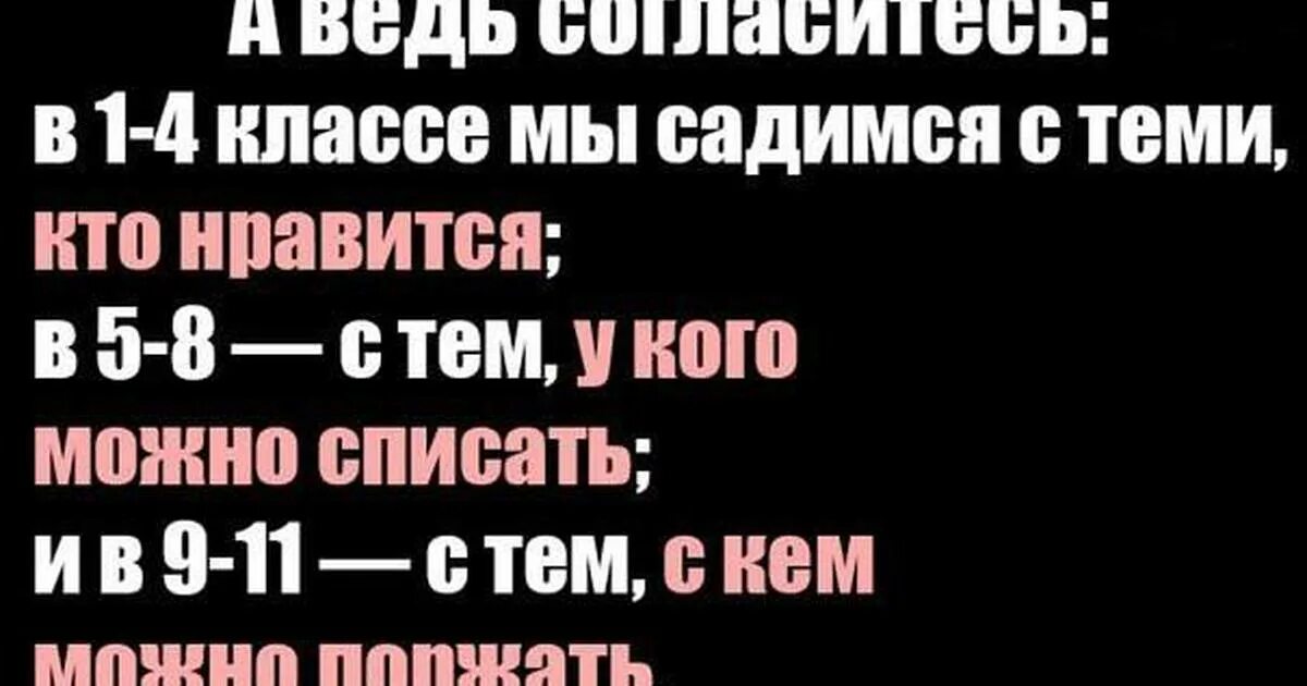 Цитаты про 9 класс. Цитаты про школу. смешные фразы про школу. смешные цитаты про школу. смешные высказывания про школу.