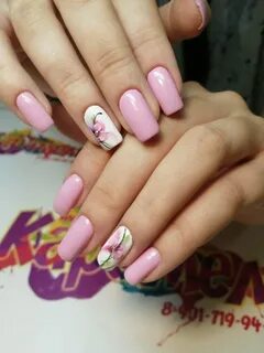 Nail мытищи