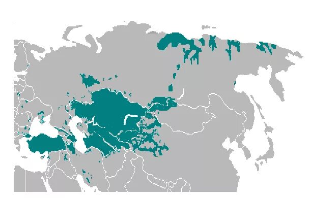 Language location. Turkic languages. турецкие диалекты. турки ареал. turkic languages map.