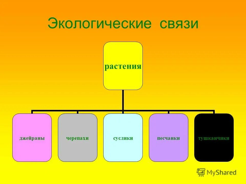 экологические связи в сообществе пример. примеры экологических связей. цепи питания. экологические связи 3 класс. экологические саювязи в лесу.