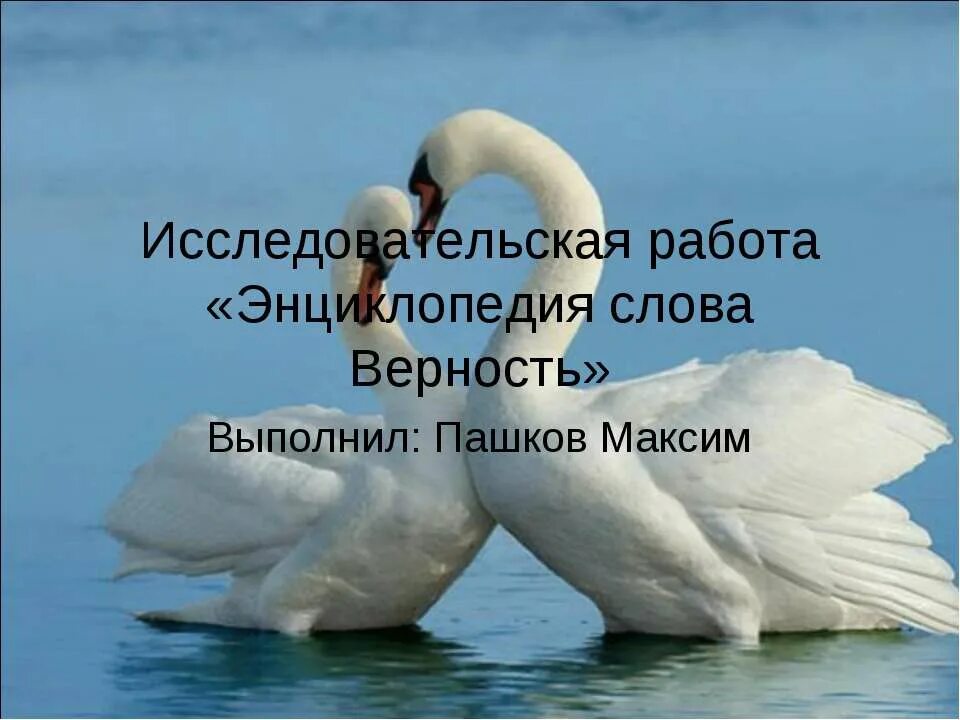 Типы верности