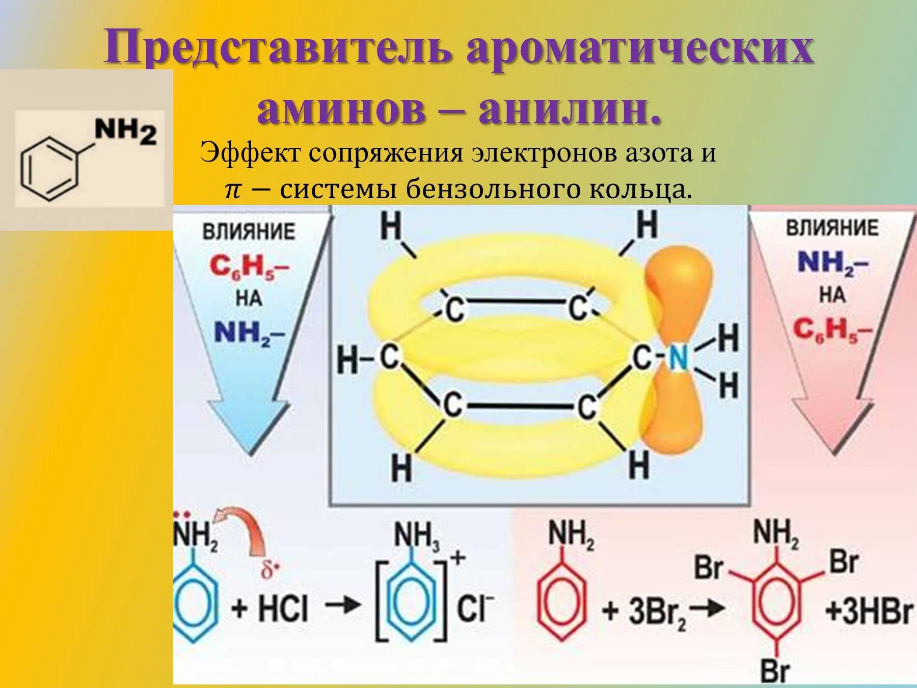 Анилин представитель ароматических Аминов. Представитель третичных Аминов. Строение первичных Аминов. Тип сопряжения в молекуле анилина.