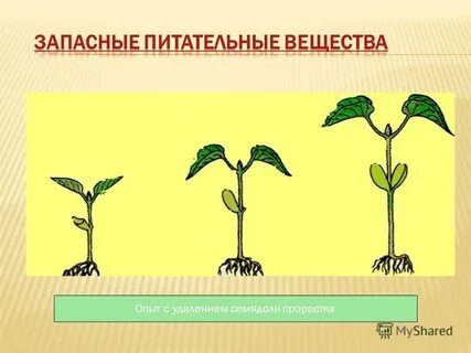 Удаленный эксперимент