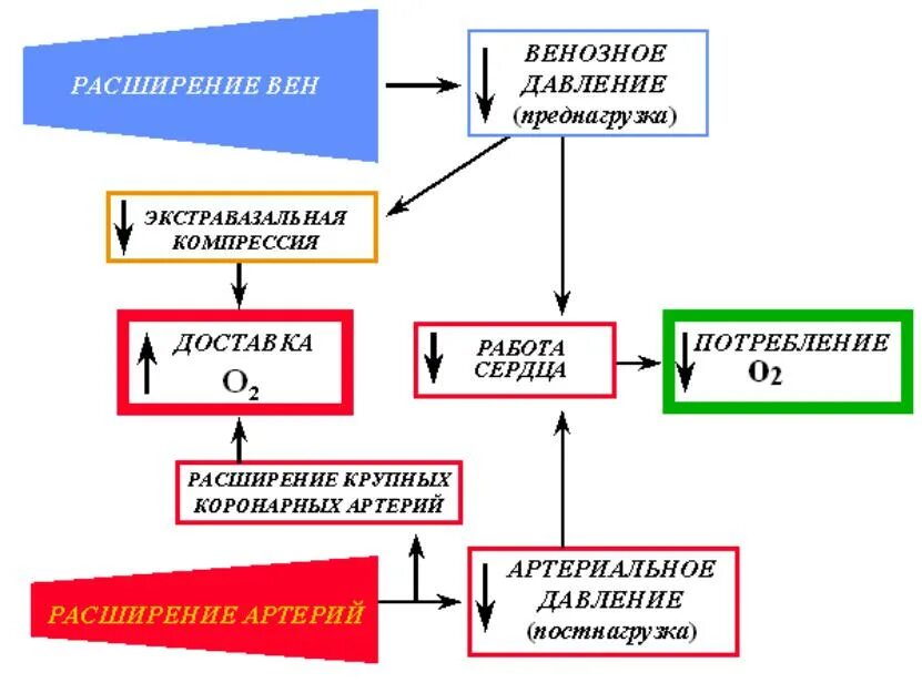 Нитроглицерин механизм действия фармакология. Механизм антиангинального действия нитроглицерина. Основной механизм действия нитроглицерина. Механизм действия антиангинальных препаратов. К группе нитратов относятся