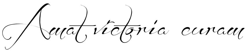 Victoria curam. Amat victoria curam татуировка. татуировка atam victoria ceramic. amat victoria curam тату на руке. amat victoria curam эскиз.