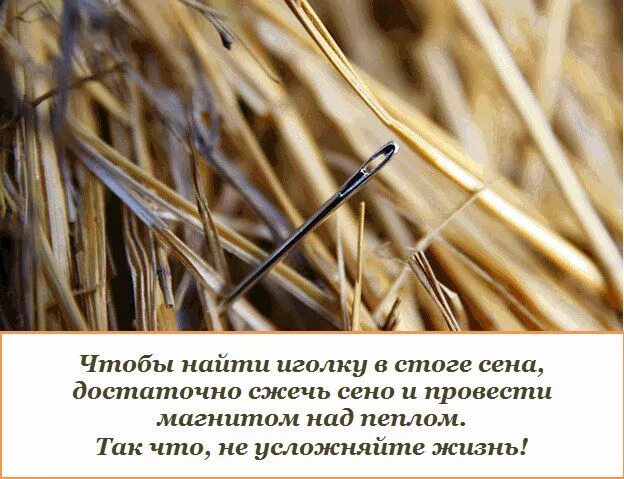 Объясните значение пословицы искать иголку в стоге. Искать иголку в стоге сена. иголка в стоге. поговорка иголка в стоге сена. искать иголку в сене.