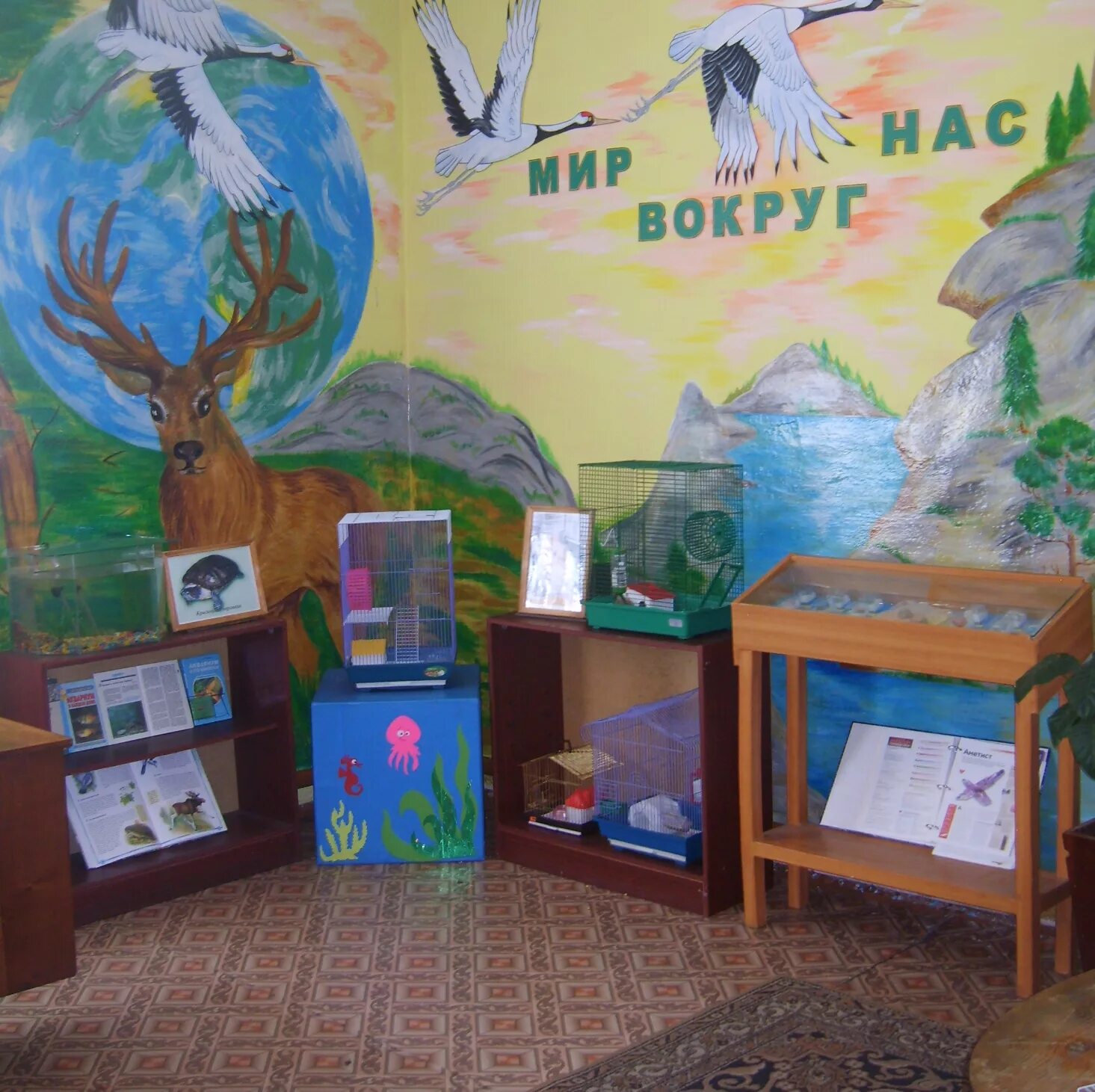 природный уголок в средней группе. уголок эколят в детском саду. уголок экологии в детском. уголок природы в детском саду. экологический уголок в детском саду.