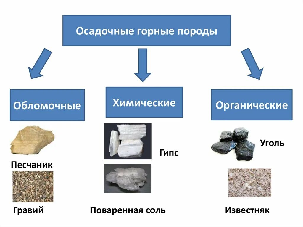 Горные породы 5 класс география тест. Осадочные горные породы осадочные горные породы. Осадочные горные породы 5 класс. Осадочные горные породы география 5 это. Сцементированные осадочные горные породы.