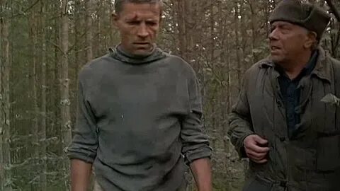 Лето 53 википедия
