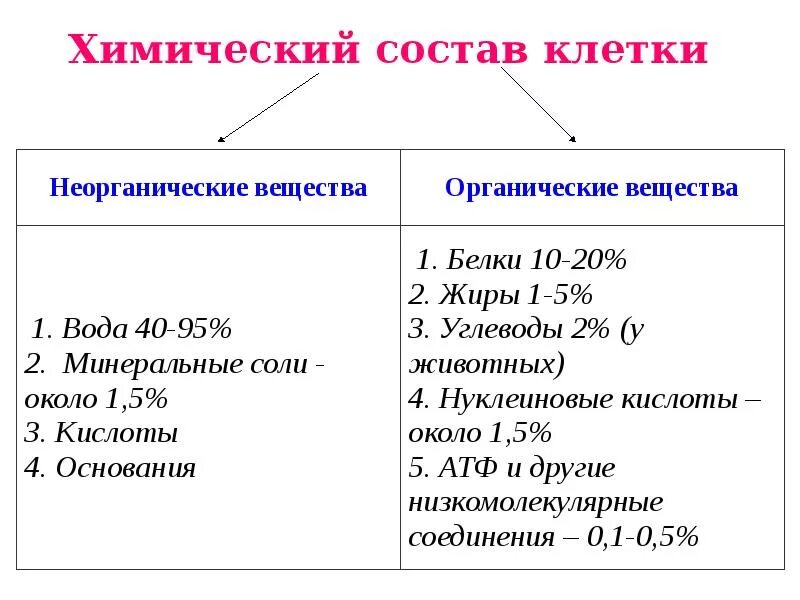 Функция органических и неорганических веществ. Химические вещества входящие в состав клетки таблица. Химический состав клетки кратко таблица. Химический состав клетки вещества клетки значение таблица. Химический состав клетки 9 класс биология таблица.