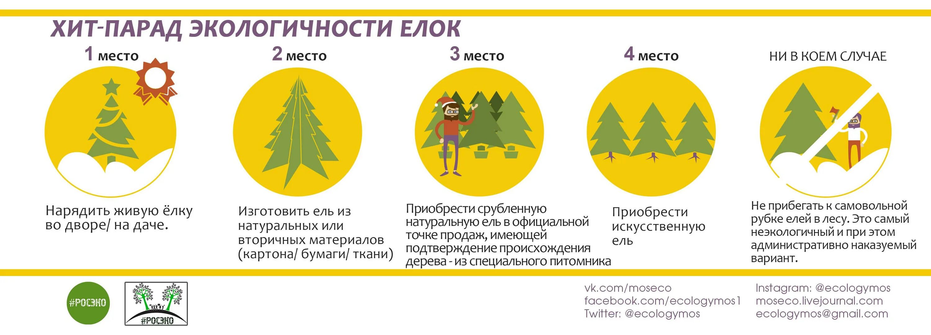 Какие цвета нельзя делать на новый год. Нельзя рубить елки на новый год. почему нельзя рубить елки. почему нельзя рубить ели. почему нельзя рубить елки для детей.
