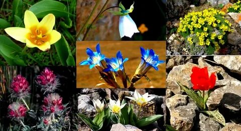 Өте ауыр секс