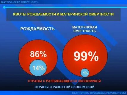 Материнская учесть