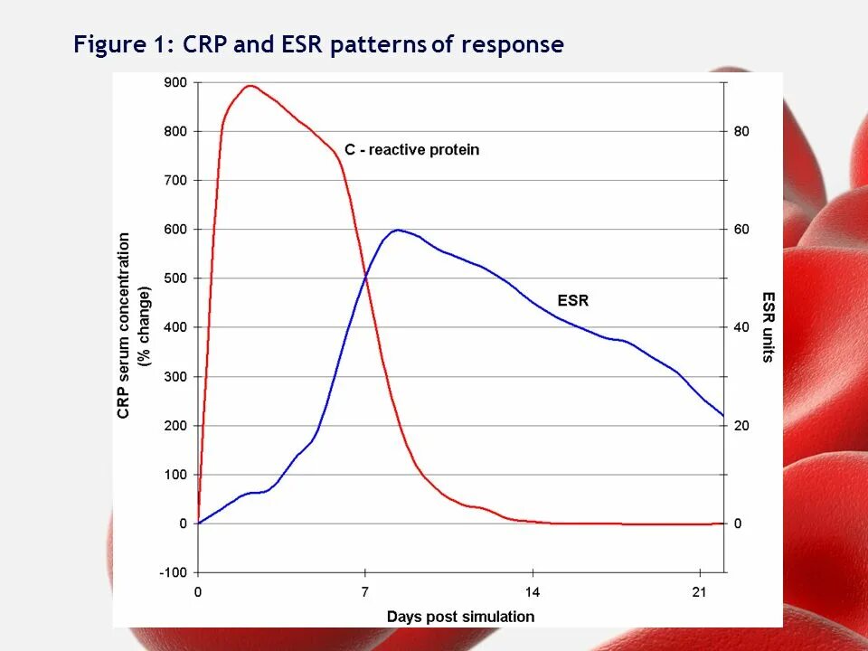 СОЭ И С реактивный белок. С-реактивный белок интерпретация результатов. Динамика маркеров воспаления. Динамика при неврите.
