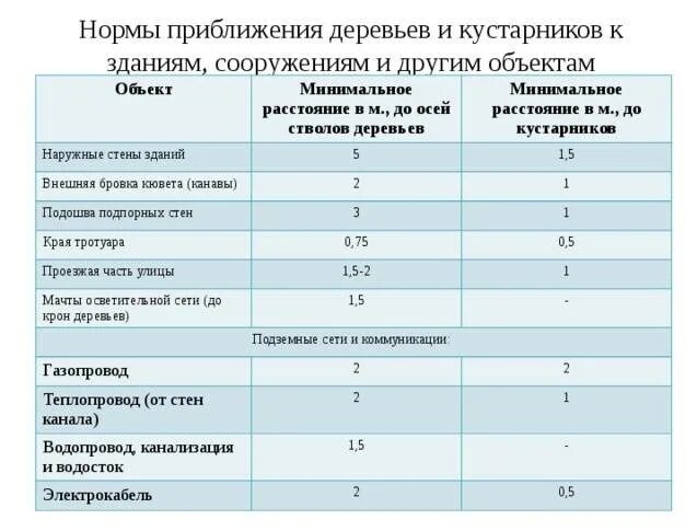 Расстояние дерева от жилого дома