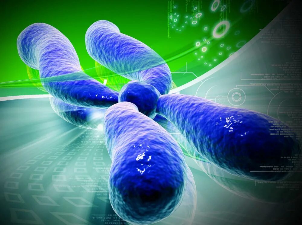 Ген stk11. Хромосома касалликлари. Хромосомы Эстетика. Красная хромосома. 11 б ген