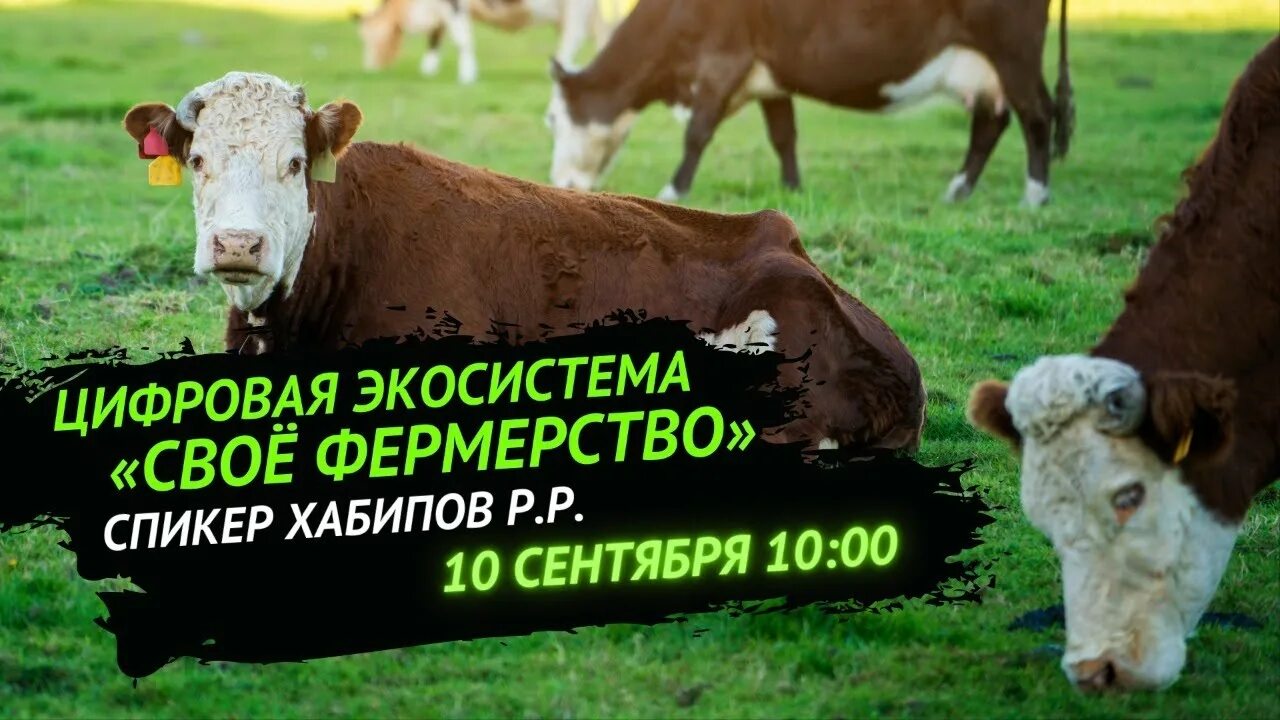 Агрополия минсельхоз. Агрополия минсельхоз