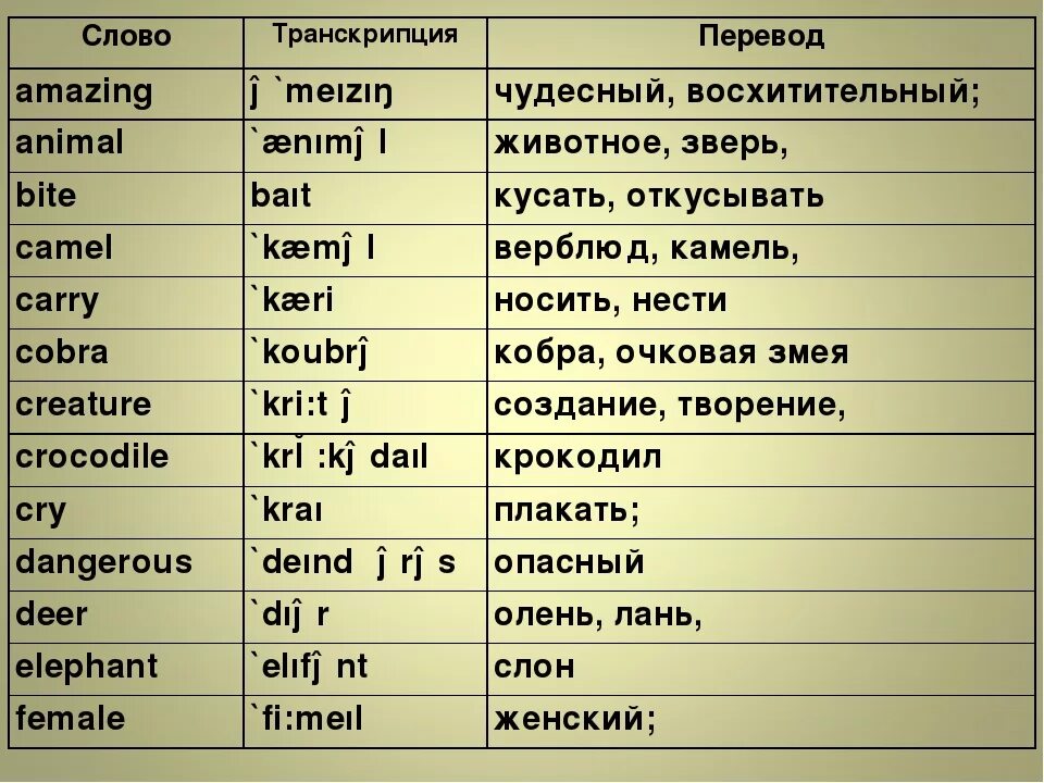 Ches перевод на русский
