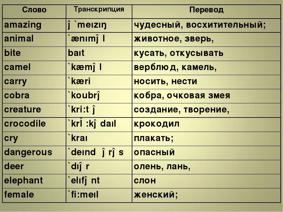 Английские слова. Английские слова с транскрипцией и переводом. Английские слова с переводом на русский. Английский язык слова с переводом. Язык готов с переводом