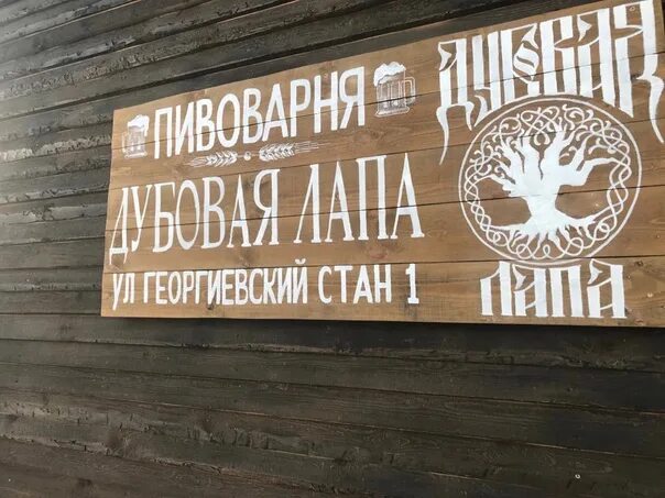 Пивоварня дубовое. Пивоварня дубовое. 35. Пивоварня дубовая лапа в среднеахтубинском районе. Пивоварня дубовое.