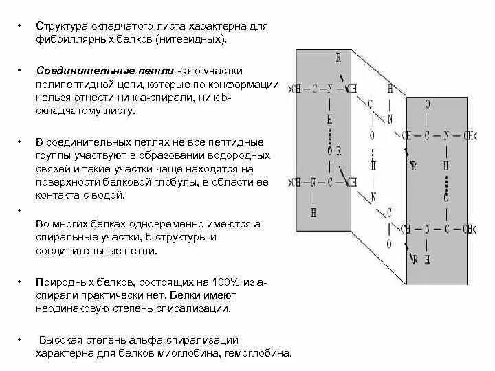 Степень спирализации зависит. Уровни спирализации. Степень спирализации белка характеризует.