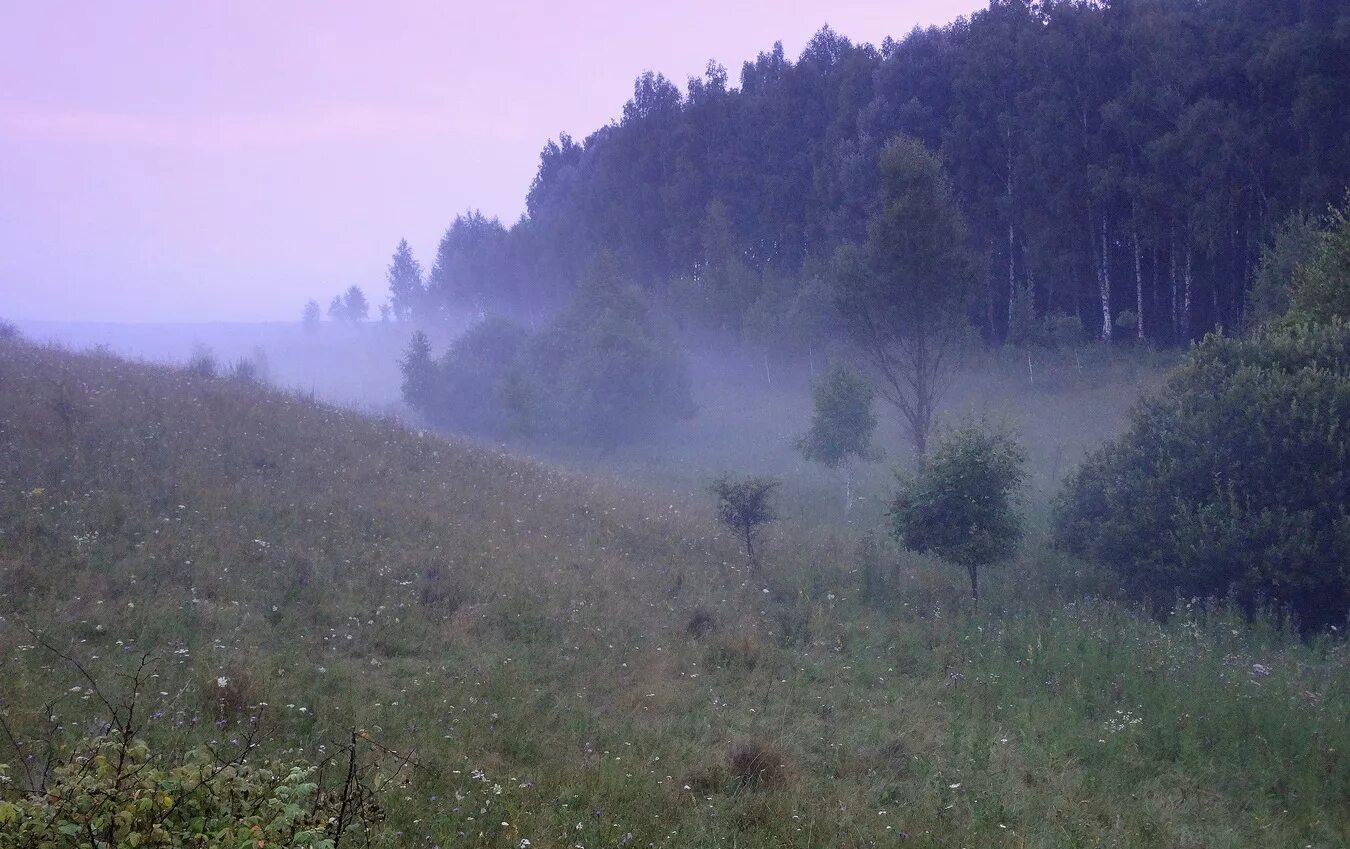 Низинах расстилается туман. Поземный туман. Туман в низине. Туман в ложбине. Предложение в ложбине видим туман.