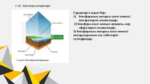 Сильвия Сент порно фильмдері
