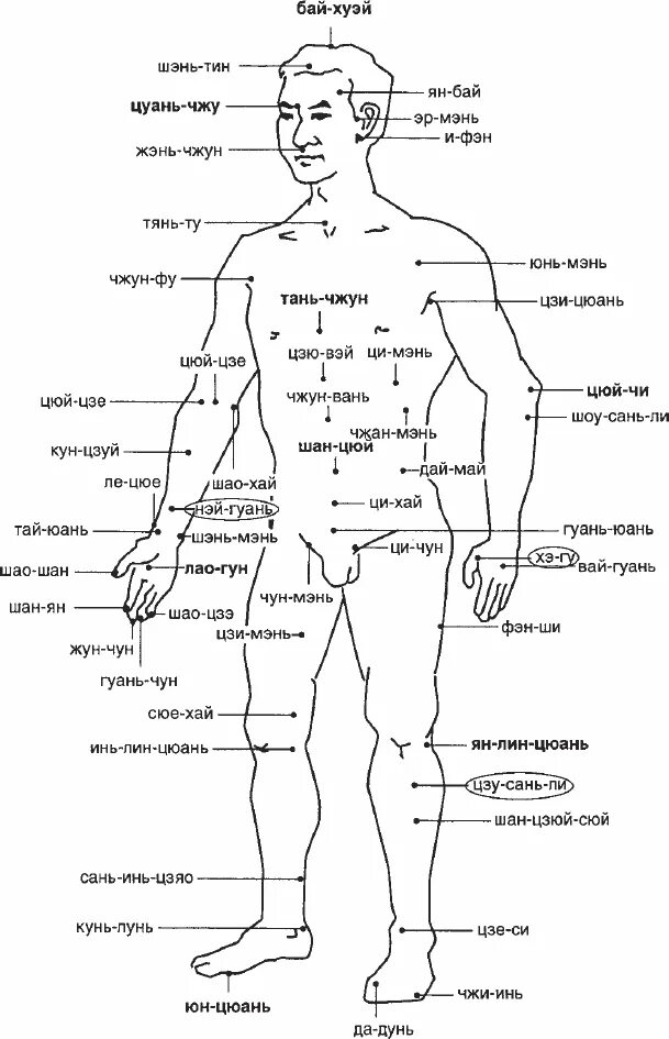 Названия точек человека. Точки акупунктуры на теле человека китайская. Акупунктурные точки на теле человека для массажа. Акупунктурные точки на теле человека китайская медицина. Схема точек акупунктуры на теле человека.