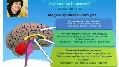 Рпт