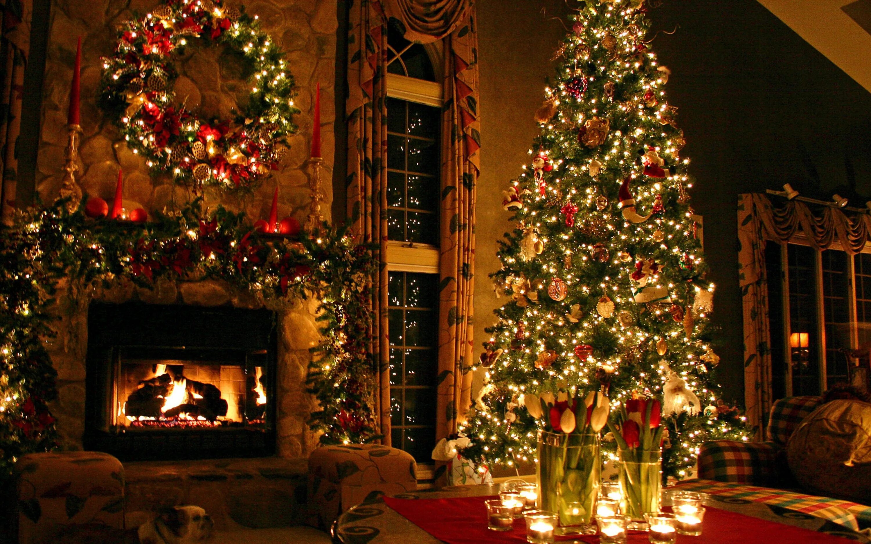 Дети наряжают елку. Новый год (праздник). Новогодние фото. Гирлянда новогодняя. Новогодняя атмосфера.