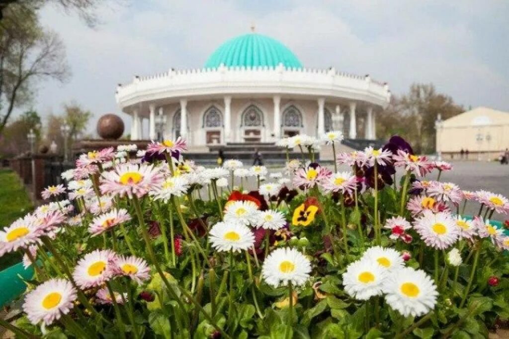 Навруз в Ташкенте цветение.