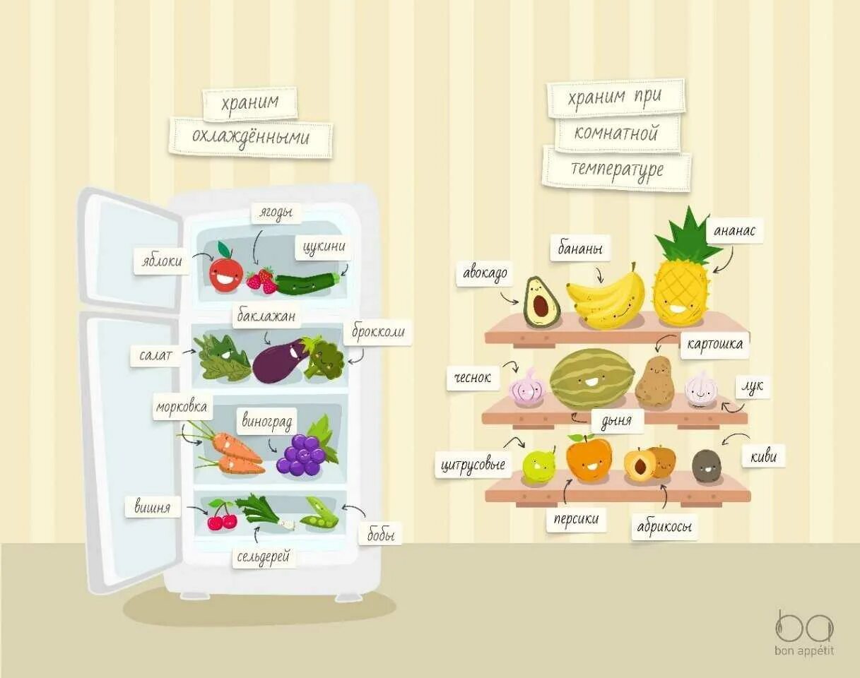 Можно хранить овощи в холодильнике. Правильное хранение овощей и фруктов. Правильное хранение в холодильнике. Инфографика хранение овощей и фруктов. Холодильник для хранения овощей и фруктов.